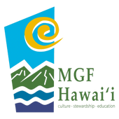 47th annual prince lot hula festival