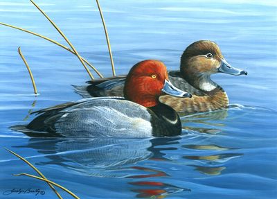 2019 Ohio Wetlands Habitat Print