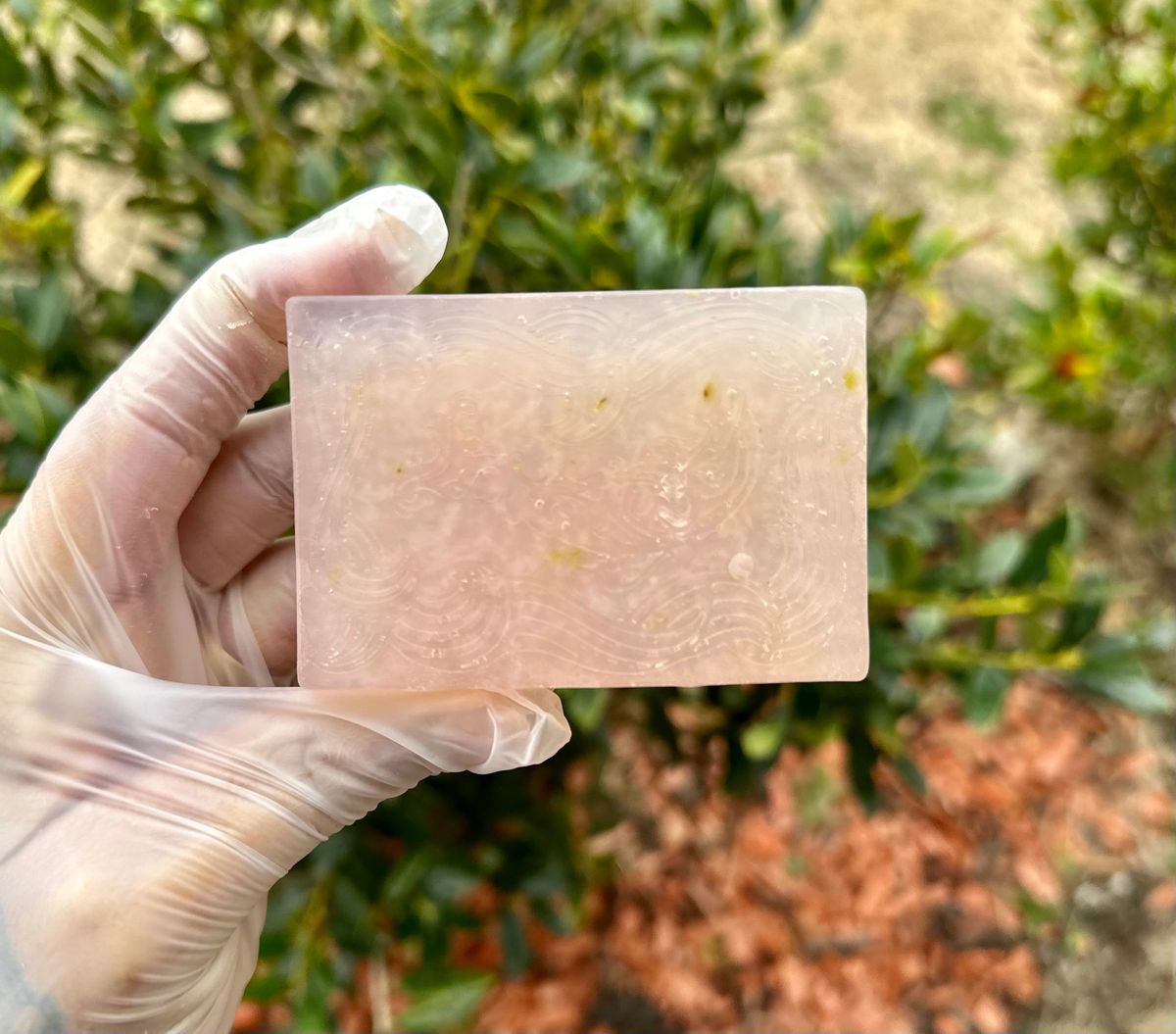 Aloe Vera Soap – Subtle and Wild