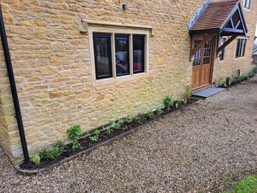 Borders around the house which have been planted up.