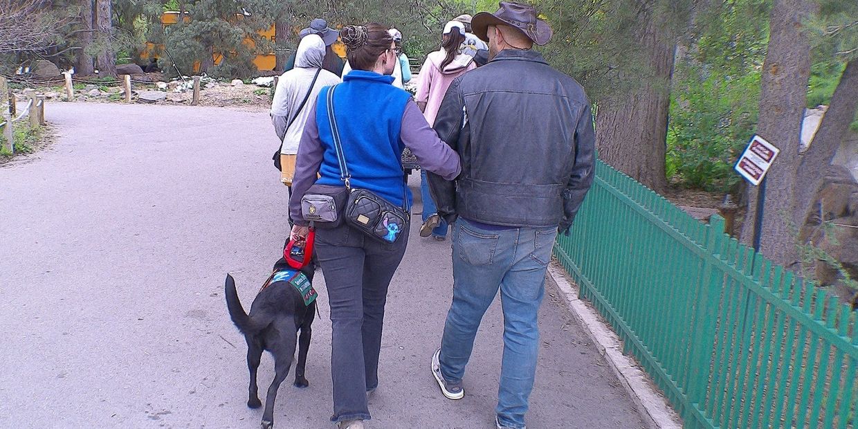 Black lab service dog walking with couple