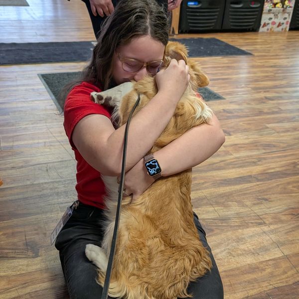 Girls cuddles a Sable Collie mix puppy