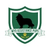 Assistance Pup Master Academy