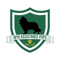 Assistance Pup Master Academy