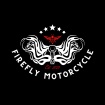 Firefly Motorcycle