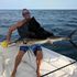 Sailfish Let it Ride Charters Key Largo