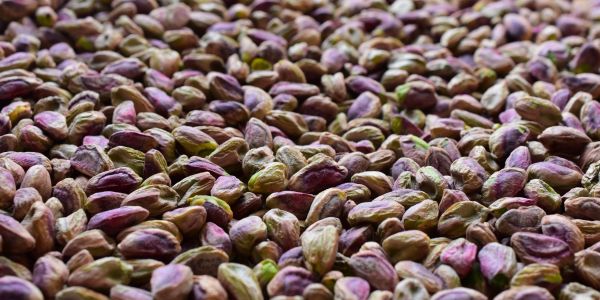 Close-up of many pistachio nuts.