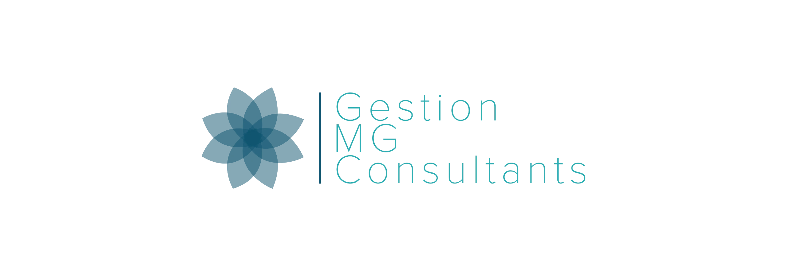 Logo d'entreprise Gestion MG Consultants