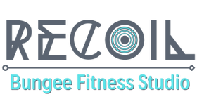 Recoil Bungee Gym