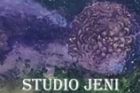 Studio Jeni