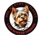 Mrs B's Paws to Flaunt Lake Sumter Yorkies '