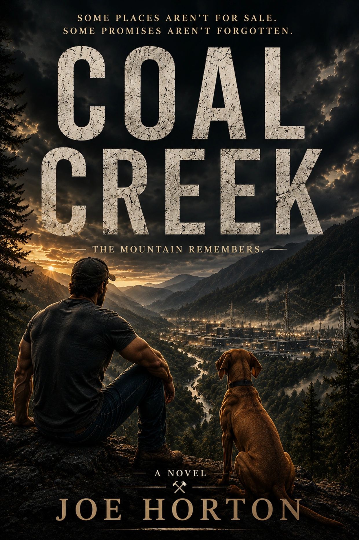 A man and his dog overlooking an industrial valley at sunset.