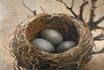 Robin's Nest 