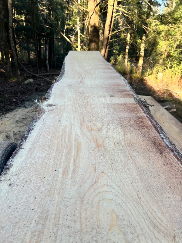 35" White Pine.