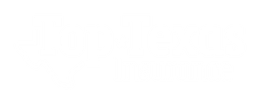 Top0ftexasinsurance