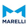 Marelli is a company that develops and produces electric powertrain systems for electric vehicles.