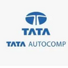 Tata AutoComp Systems market automotive components and systems, 
@Tata Ficosa