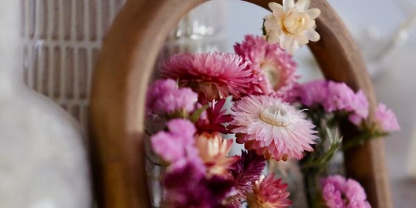 Dried Strawflower Canadian Dried Flowers Crafting Craft Flowers Buy Local Dried Flowers Natural 