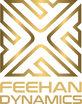 Feehan Dynamics