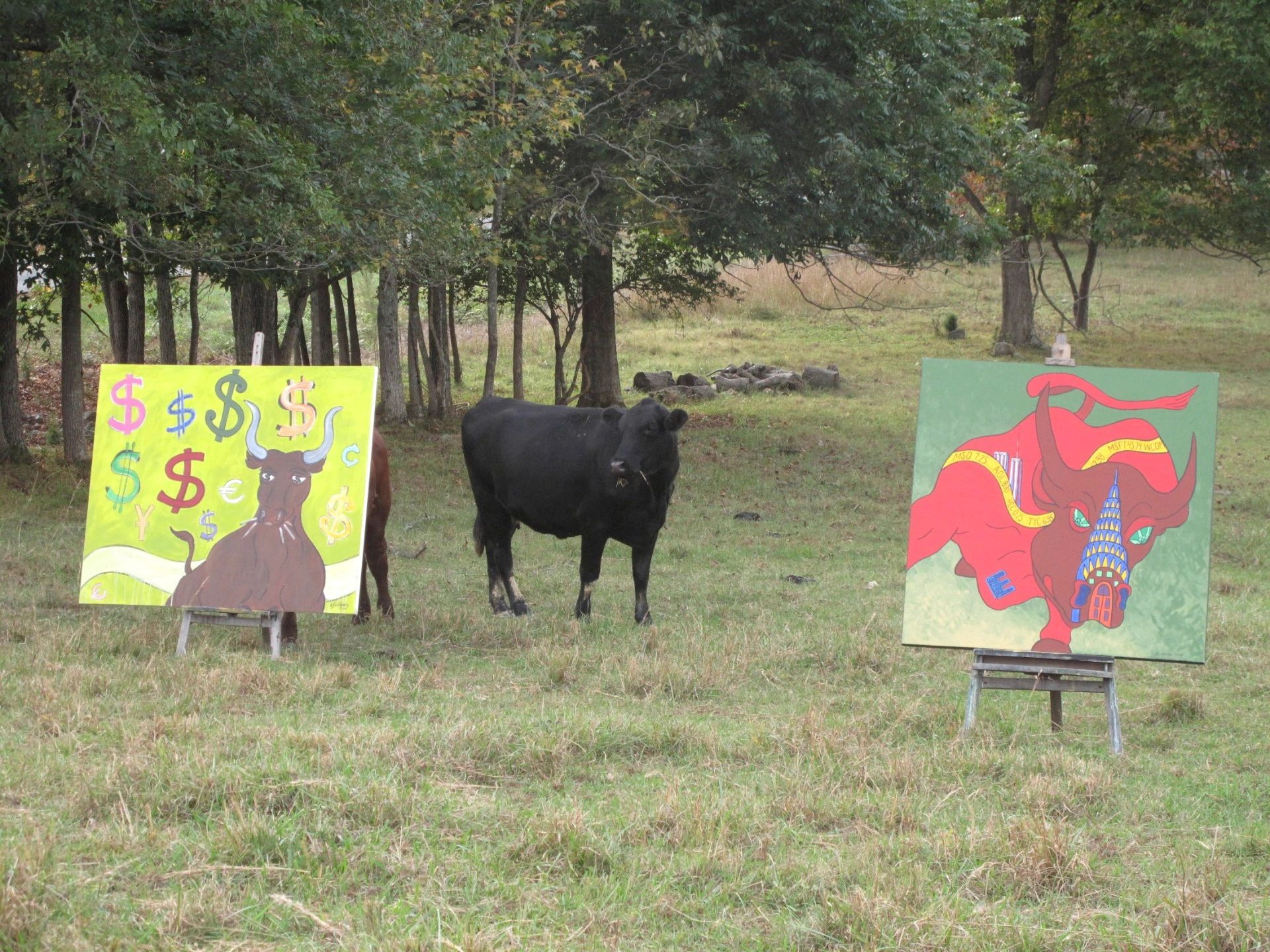 Cow standing between two paintings of bulls in a grassy field.