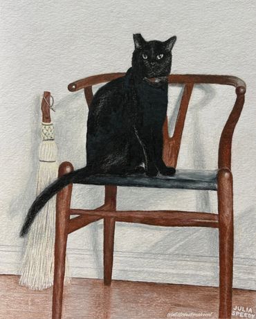 Black cat sitting on a wooden chair with a broom beside it.