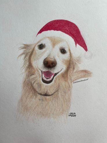 Golden retriever with a Santa hat