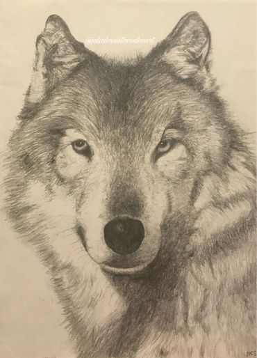 Portrait of a wolf