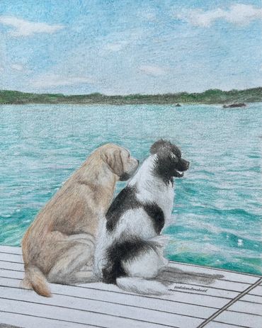 Dogs by the water