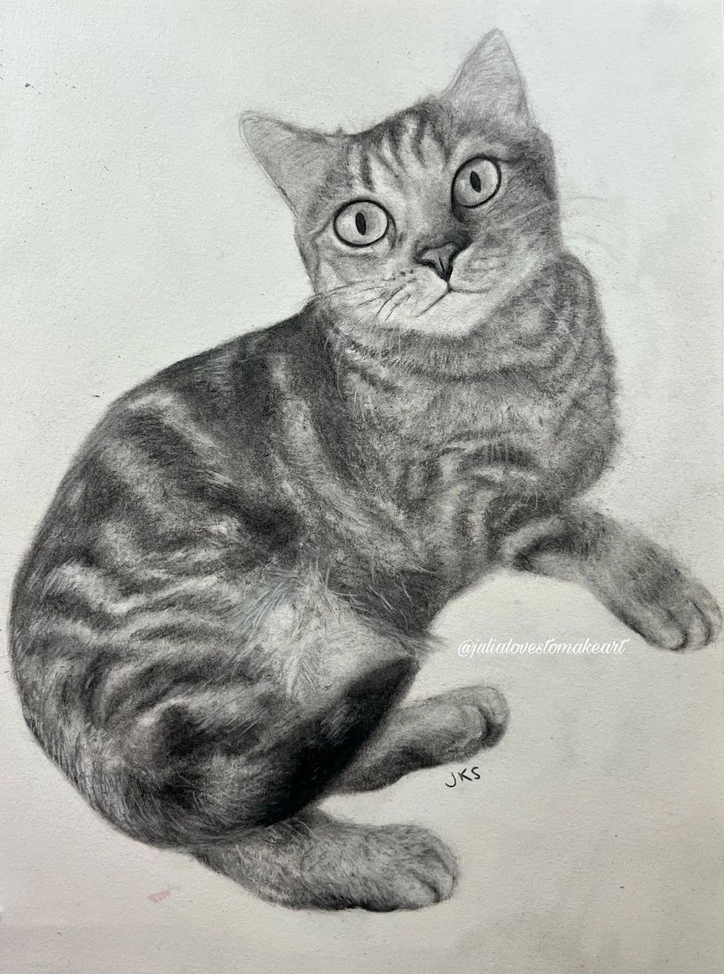 A portrait of Julia's cat Opal