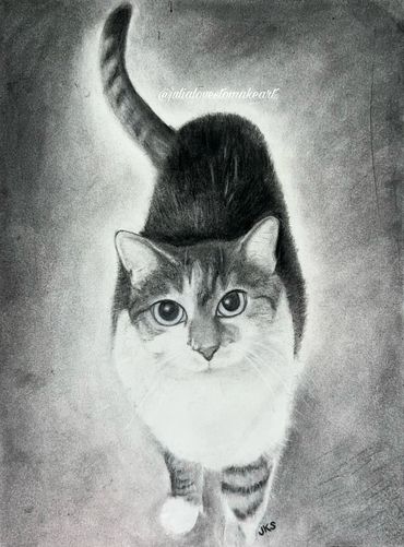 Portrait of Julia's cat Mia
