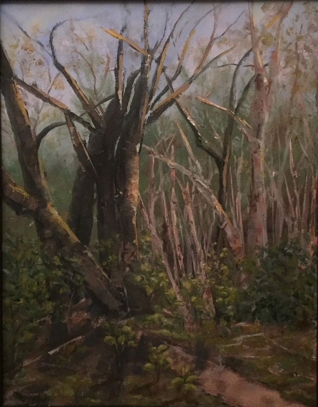 Original oil painting by Canadian artist, Sharon Kretchmar of Don Valley woodlands in spring with br