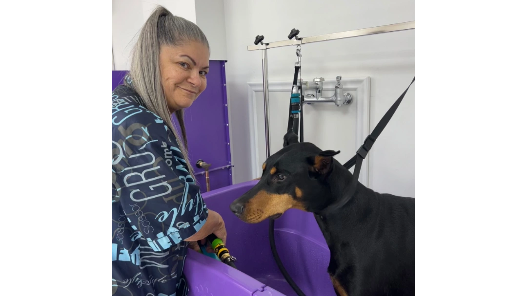 Grooming School Learn Professional Pet Grooming Techniques Grooming School Learn Professional Pet Grooming Techniques
