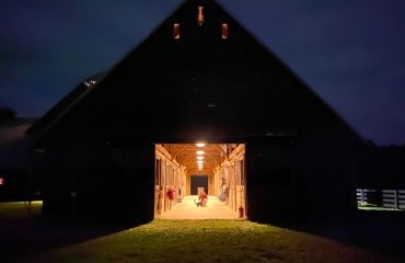 Illuminated barn interior at night with horses inside.