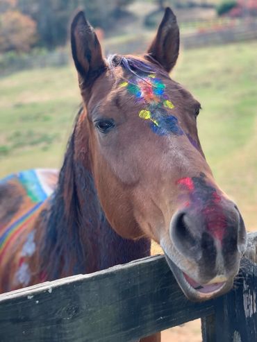 A horse with colorful paint on its face and body near a wooden fence.