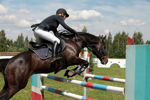 a horse and rider jumping over jumps in the show ring