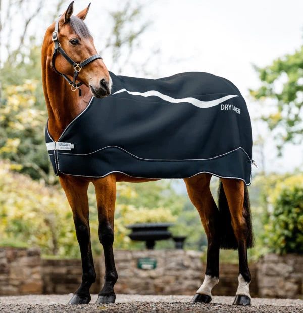 bay coloured horse with horseware Dry Liner on