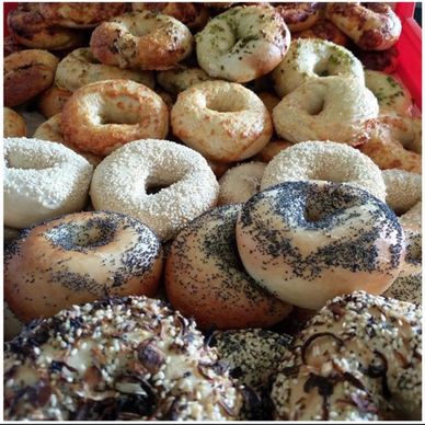 Local bakery Port Macquarie. New york style bagels