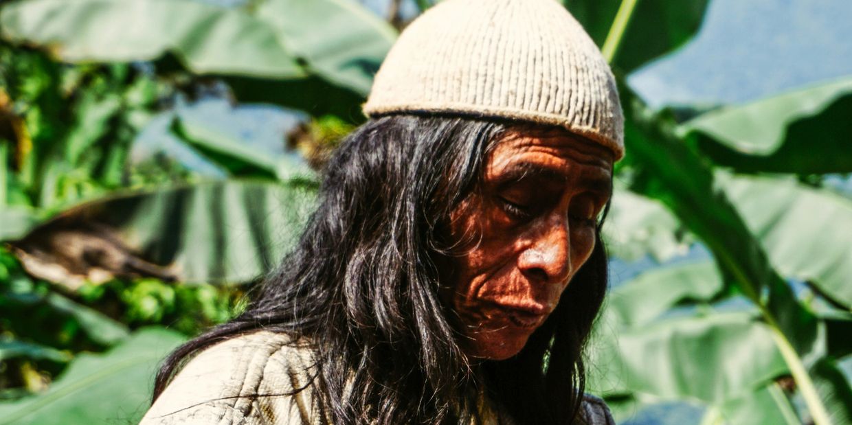 Man with long hair and a knit cap in a natural, leafy environment.