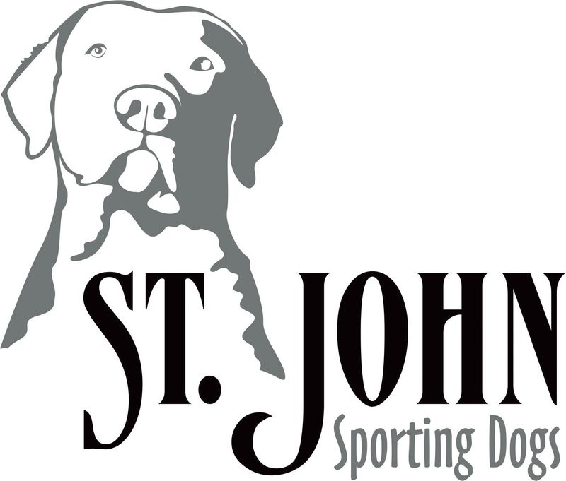 St. John Sporting Dogs