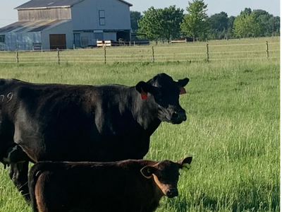 Ranch