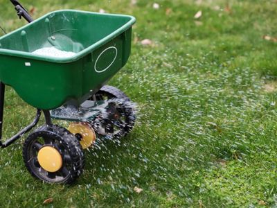 granular application lawn fertiliser