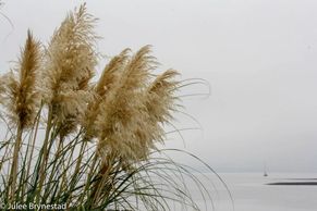 RULE OF THIRDS
10-23-18
Liberty Bay, Poulsbo, WA     
(ISO 400, 79mm, f/25, 1/100 sec)
