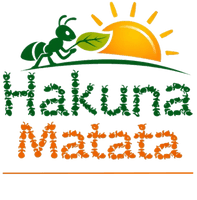 HAKUNA MATATA Service