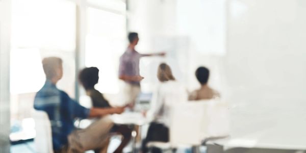 Consultant giving a presentation in a boardroom.