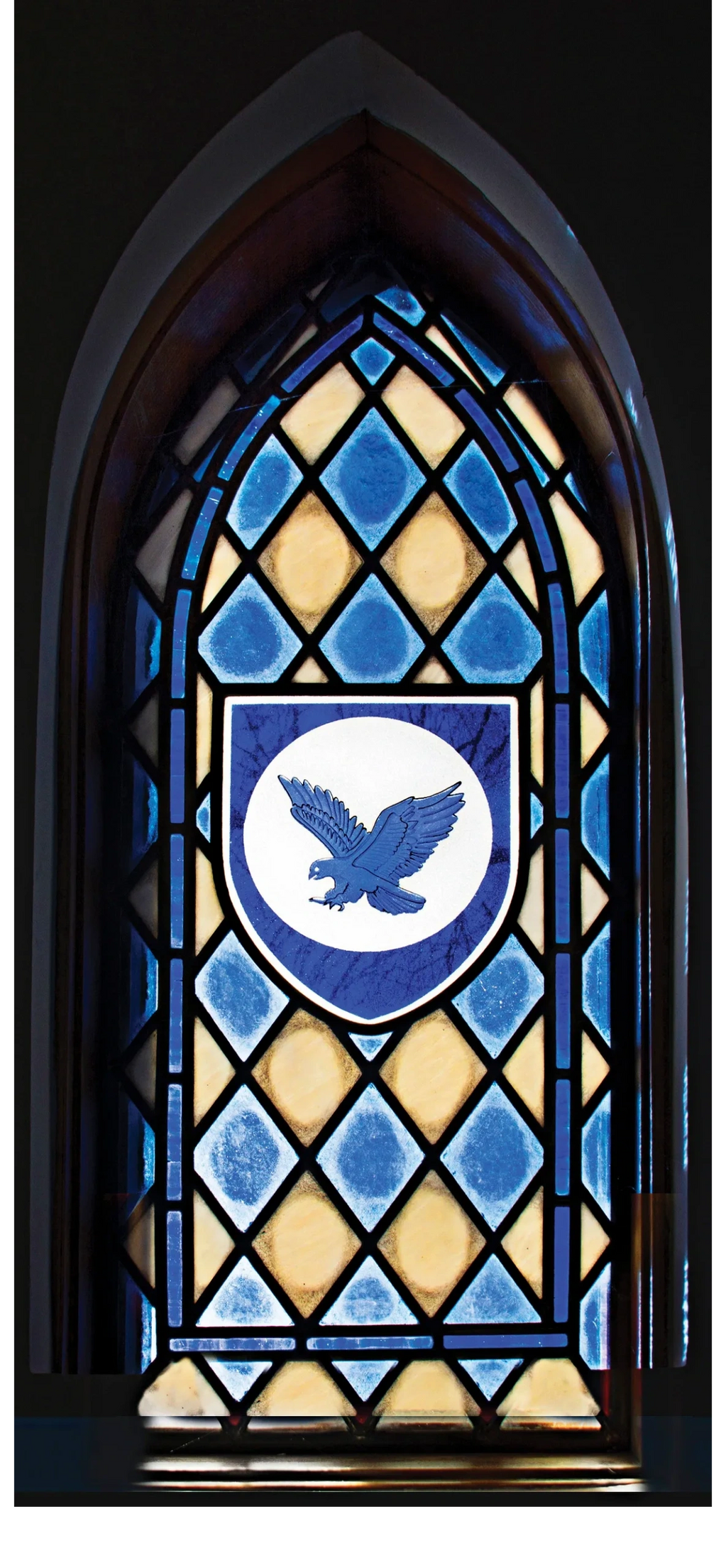 Blue bird flying in front of  white moon in the center of the sigil