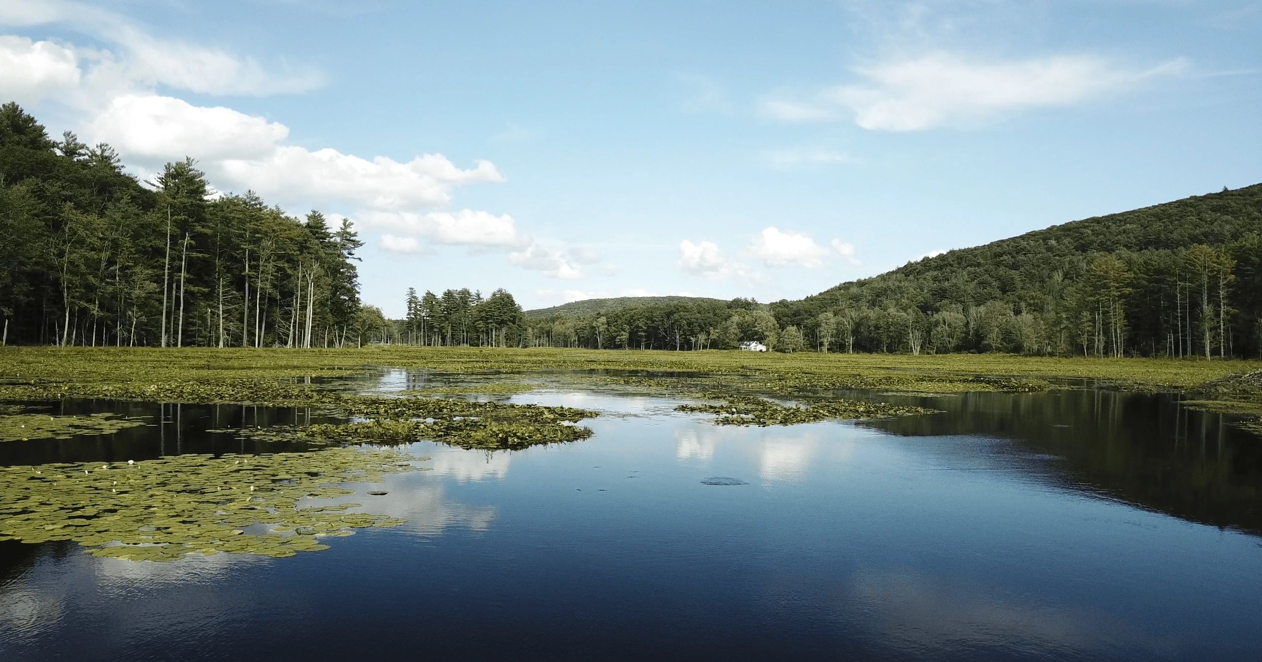 Yankeetown pond Wildlife Conservation, Woodstock