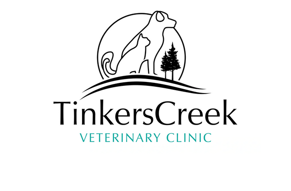 tinkers creek veterinary clinic