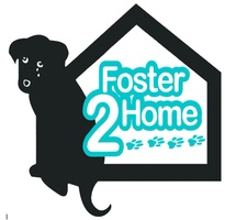 Foster 2 Home