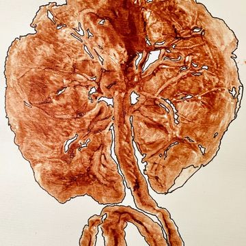 placenta encapsulation services near me
placenta pills benefits
kaiser doula
Modesto Stockton Merced