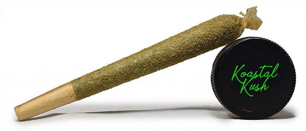 Kief coated marijuana pre-roll